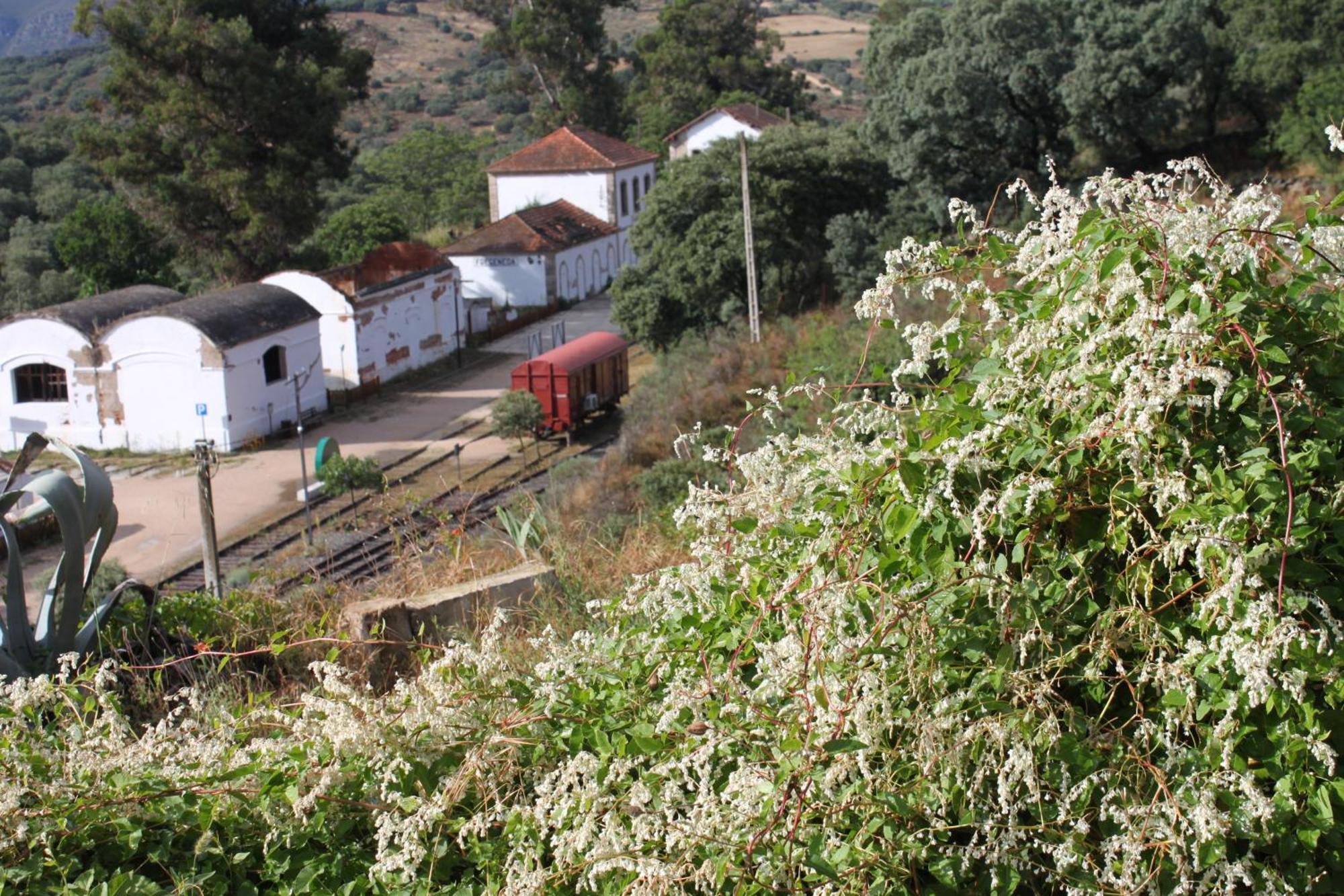 Casa Rural Camino De Hierro I Y II La Fregeneda Exterior foto